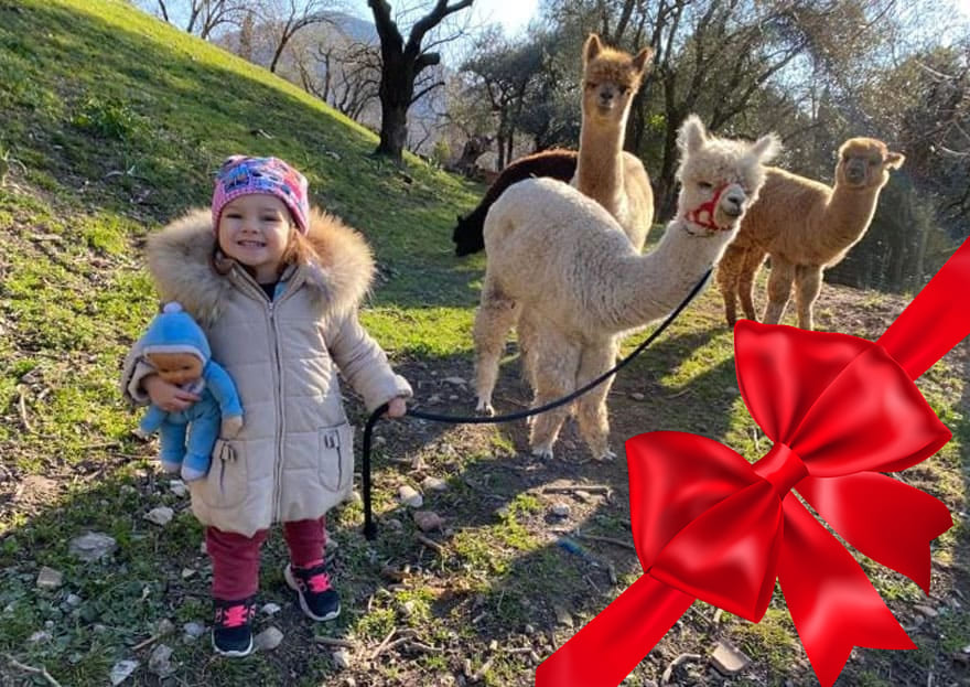 VISITA DEGLI ANIMALI + TREKKING CON ALPACA