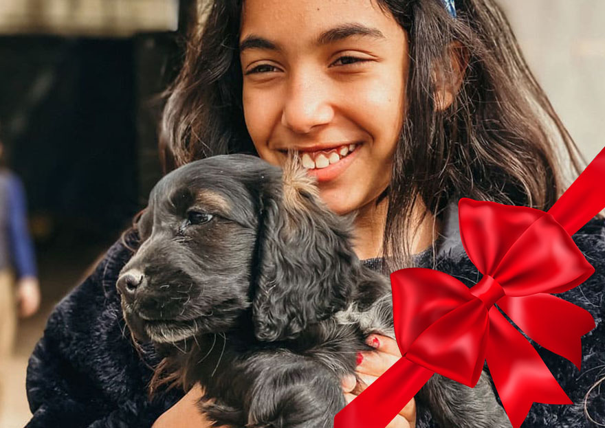 VISITA GLI ANIMALI E ED ESPERIENZA DOG FRIENDLY